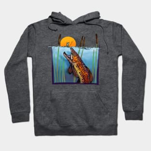 Mayfly Hoodie